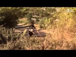 Shoei NXR Stable TC4 8 Shoei NXR Stable TC4 -UFO Sales Store hqdefault 58 jpg